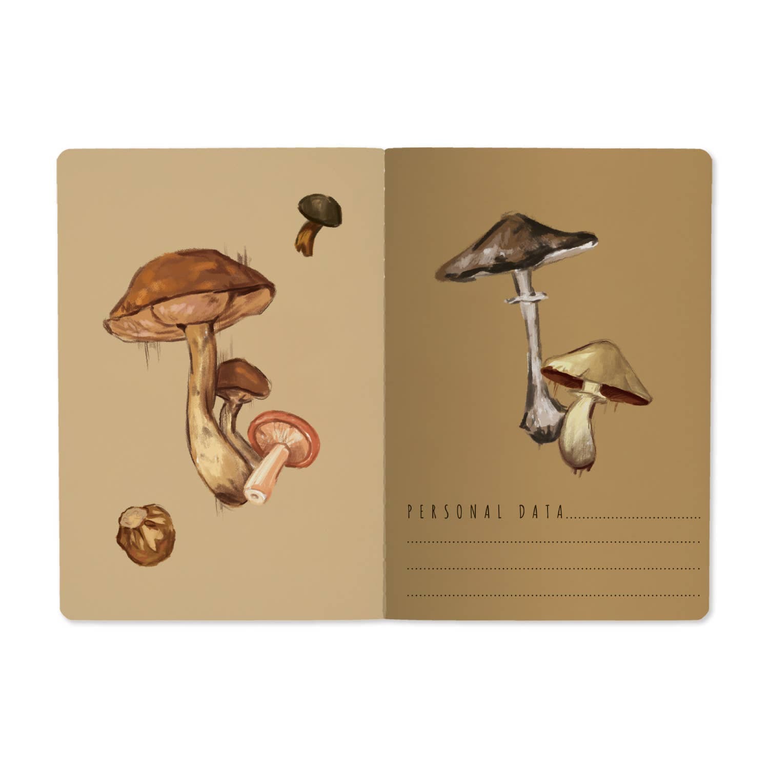 Tierra Magia Mushrooms on White 