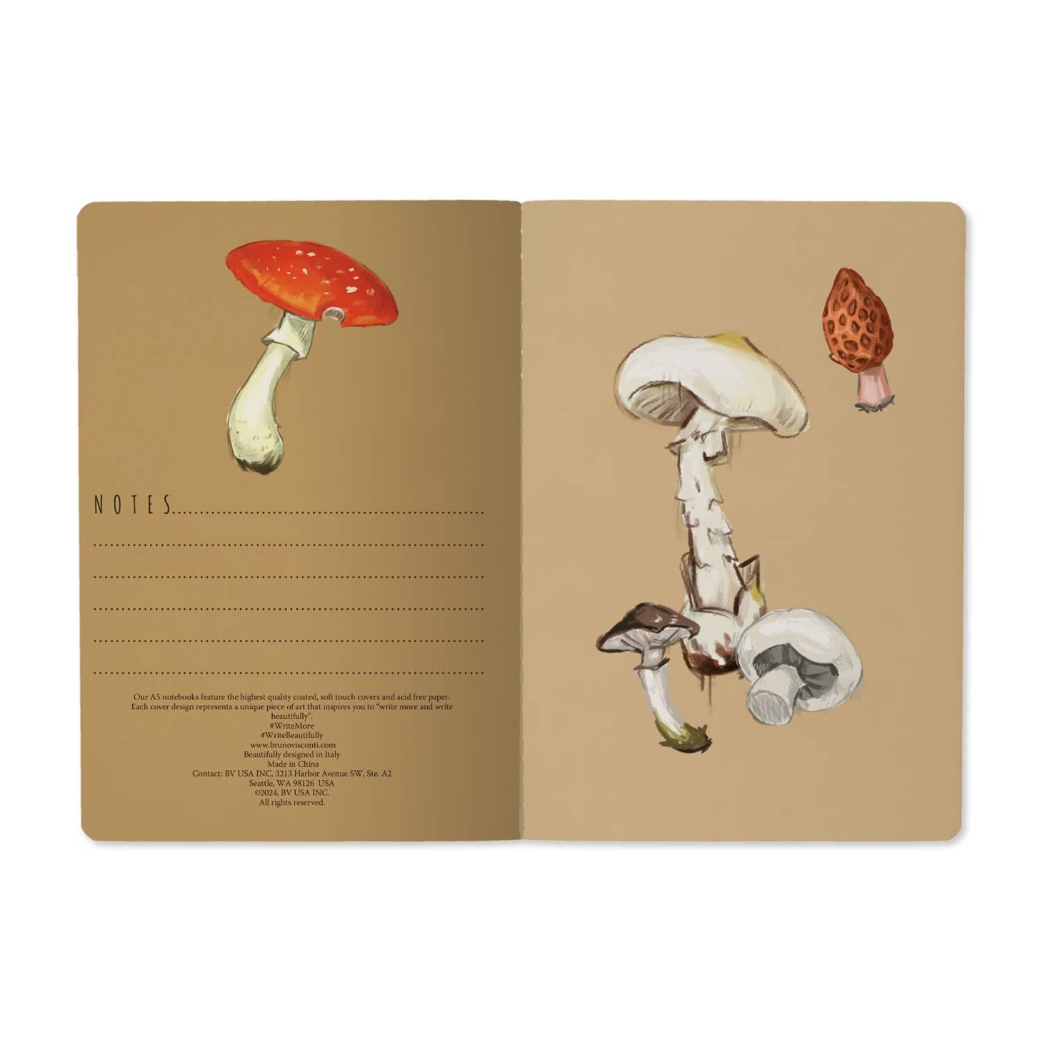 Tierra Magia Mushrooms on White 