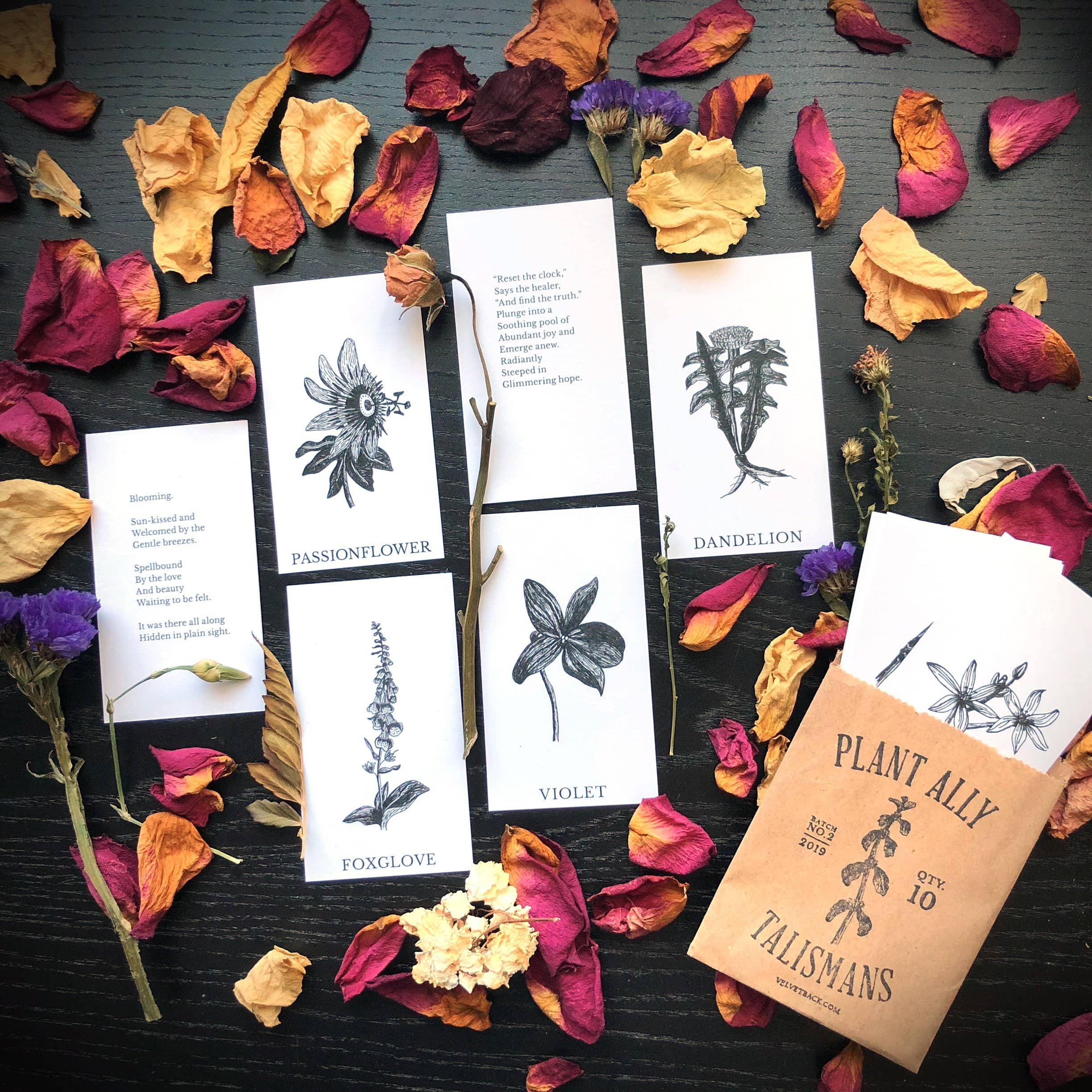 Tierra Magia Vol 2 Plant Ally Talisman Cards Mini Poetry Oracle Deck