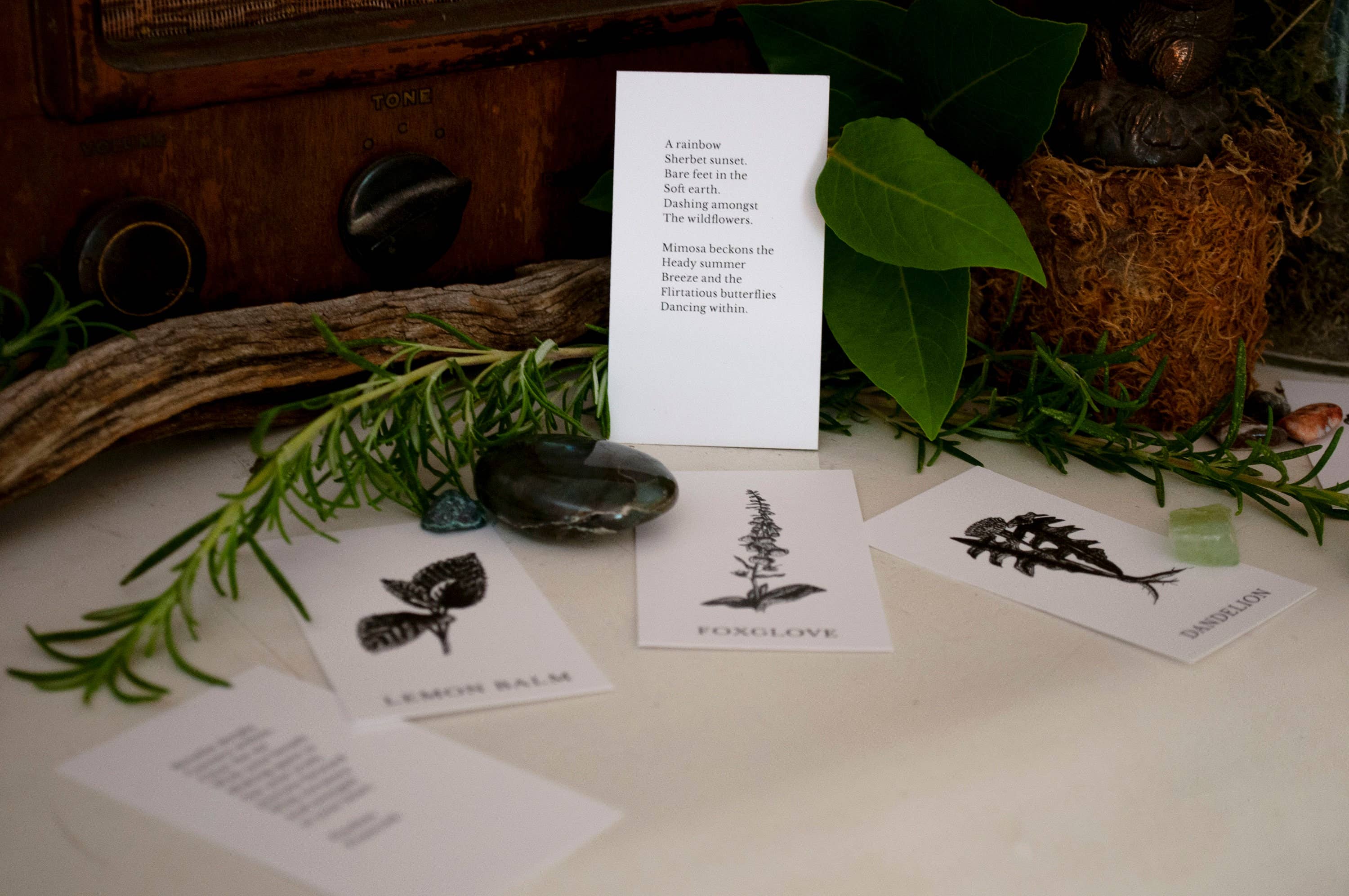 Tierra Magia Vol 2 Plant Ally Talisman Cards Mini Poetry Oracle Deck