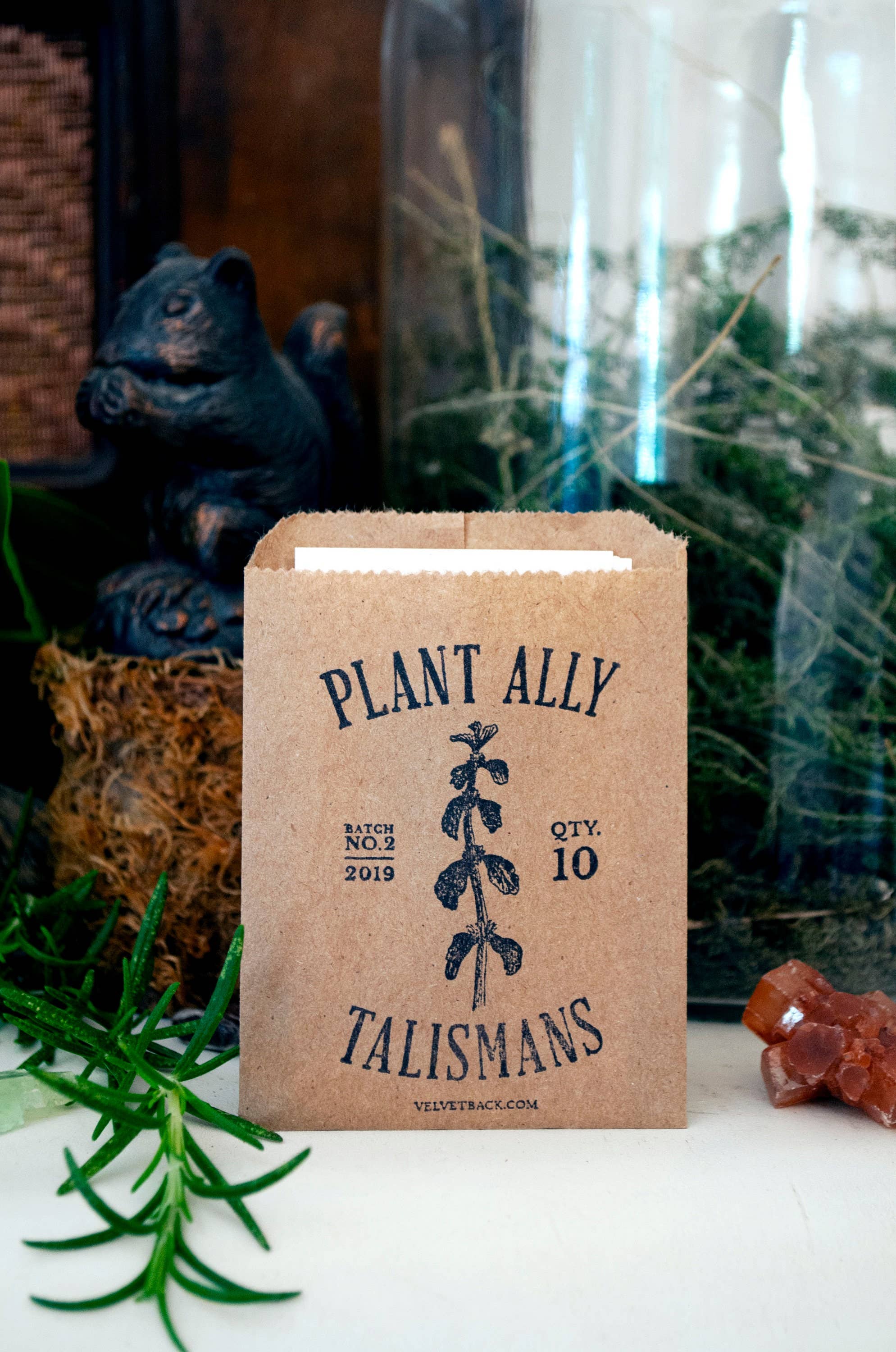 Tierra Magia Vol 2 Plant Ally Talisman Cards Mini Poetry Oracle Deck
