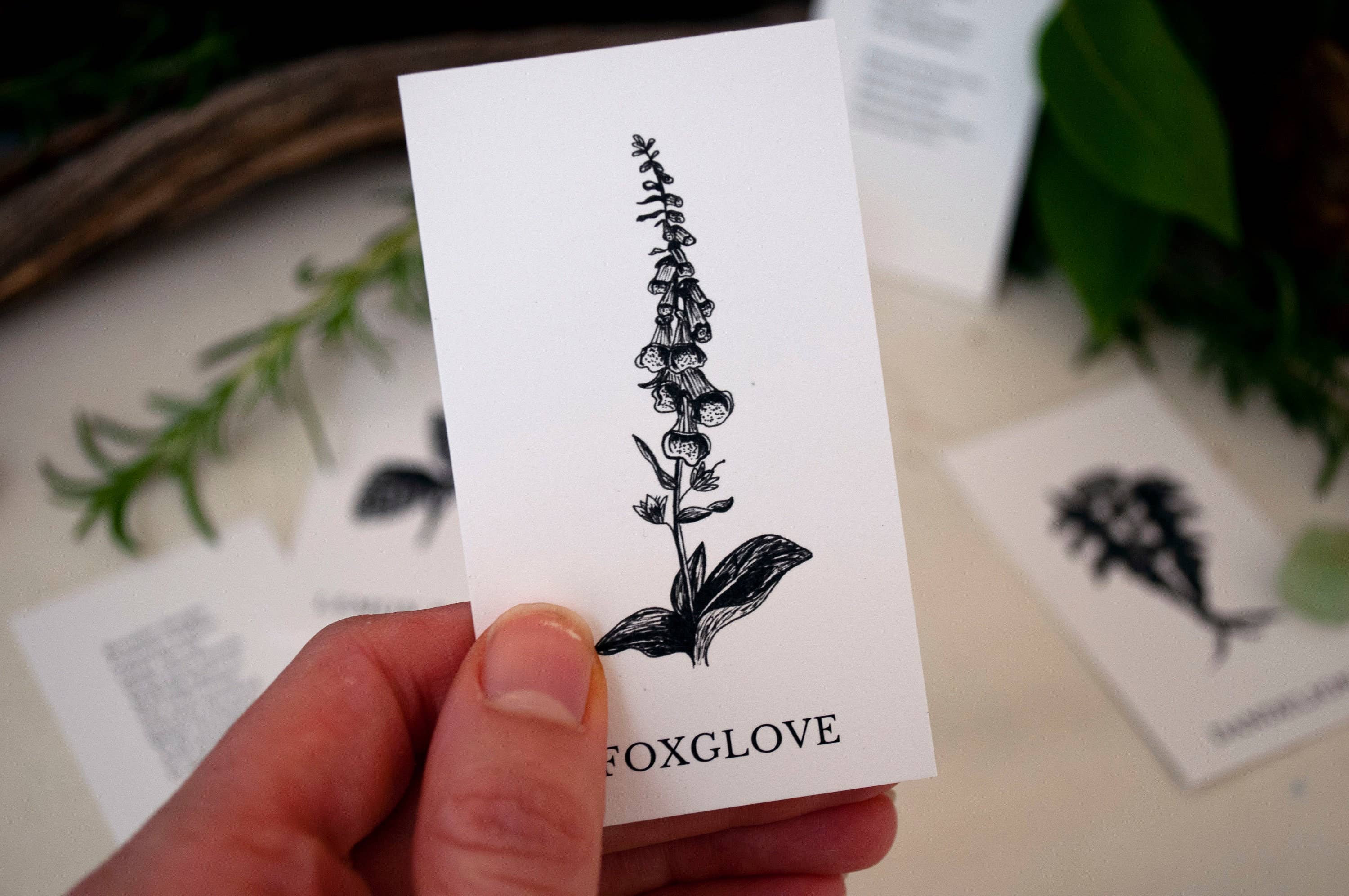 Tierra Magia Vol 2 Plant Ally Talisman Cards Mini Poetry Oracle Deck