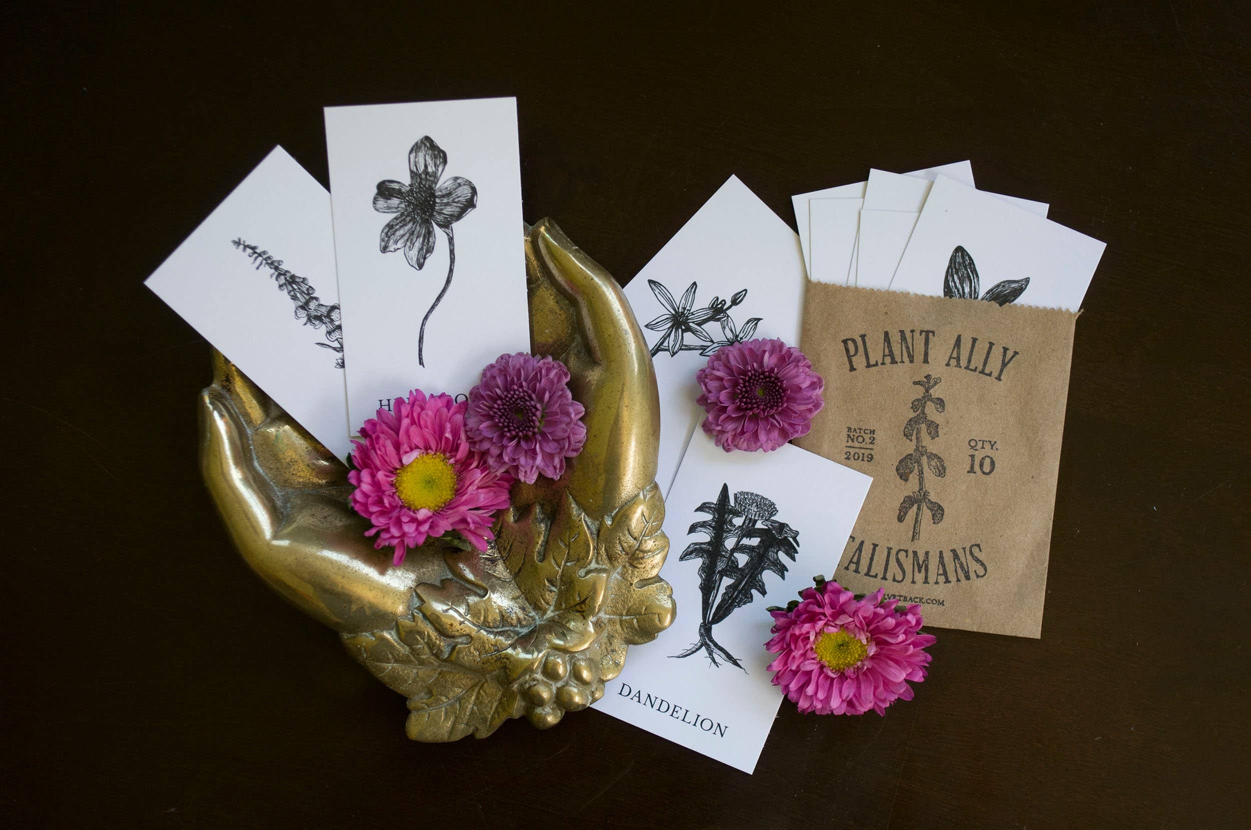 Tierra Magia Vol 2 Plant Ally Talisman Cards Mini Poetry Oracle Deck