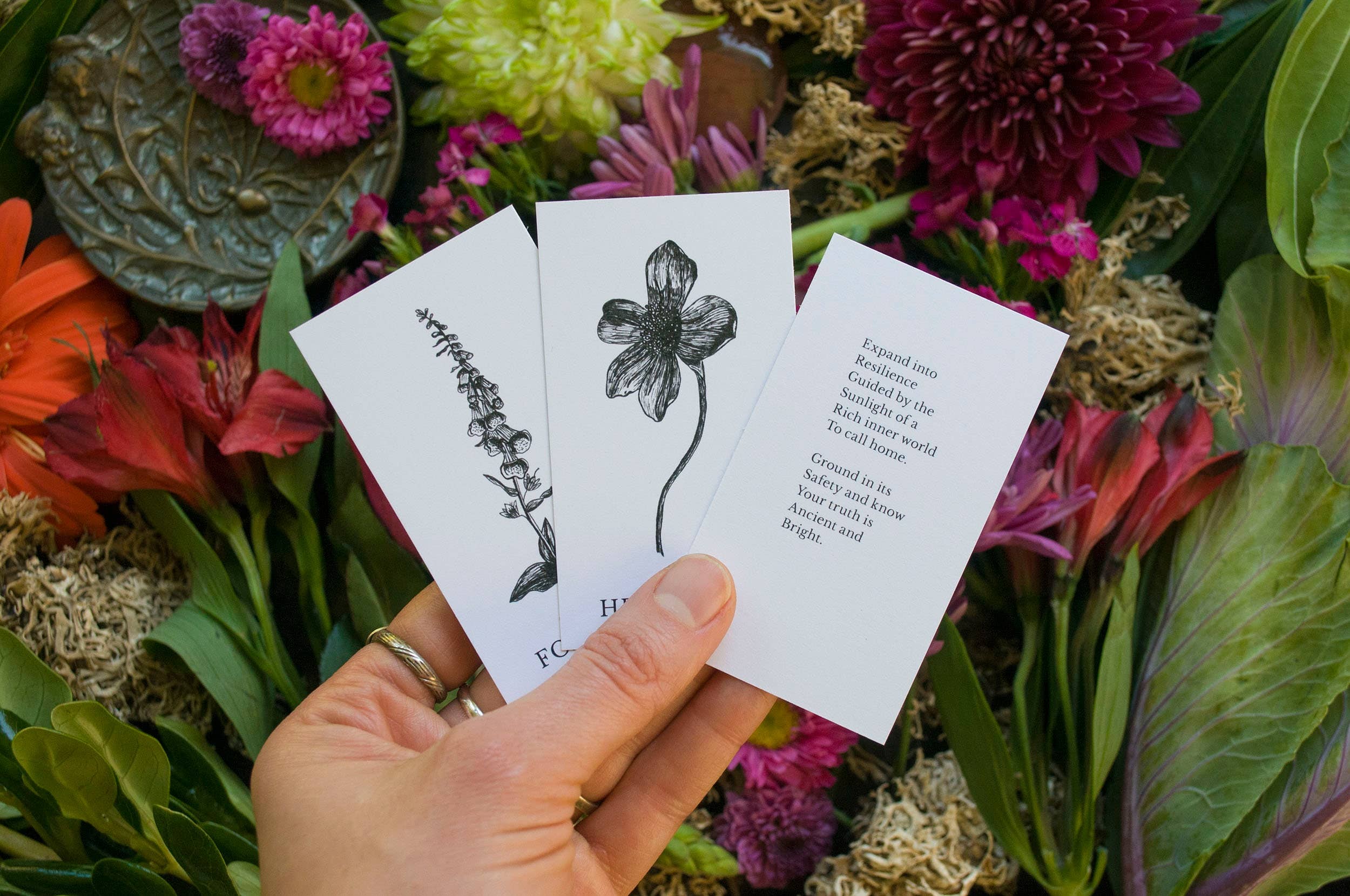 Tierra Magia Vol 2 Plant Ally Talisman Cards Mini Poetry Oracle Deck