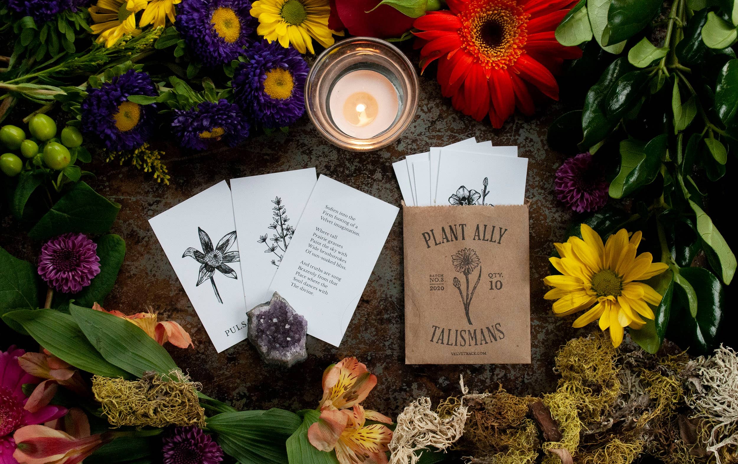 Tierra Magia Vol 3 Plant Ally Talisman Cards Mini Poetry Oracle Deck