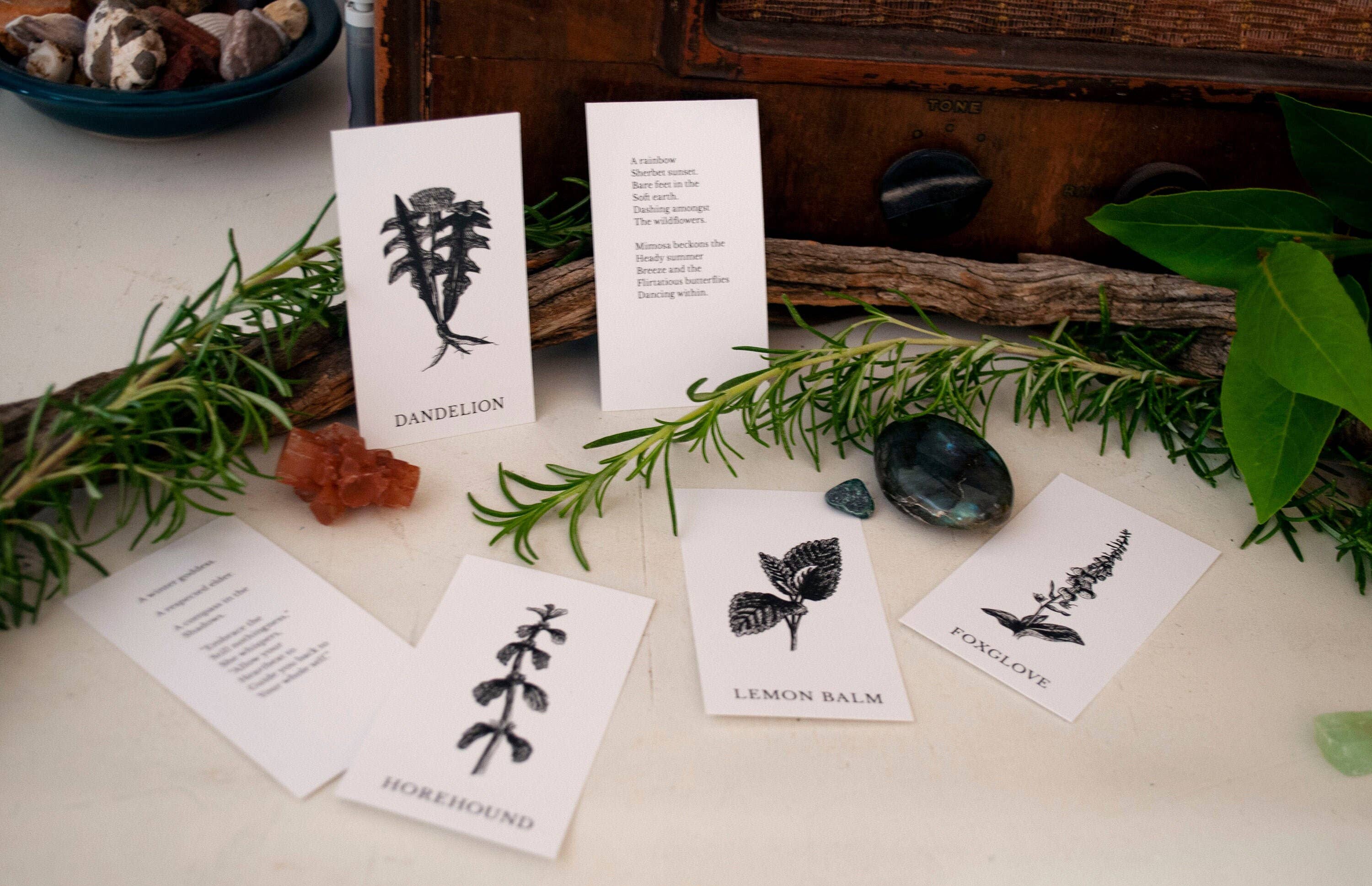 Tierra Magia Vol 3 Plant Ally Talisman Cards Mini Poetry Oracle Deck