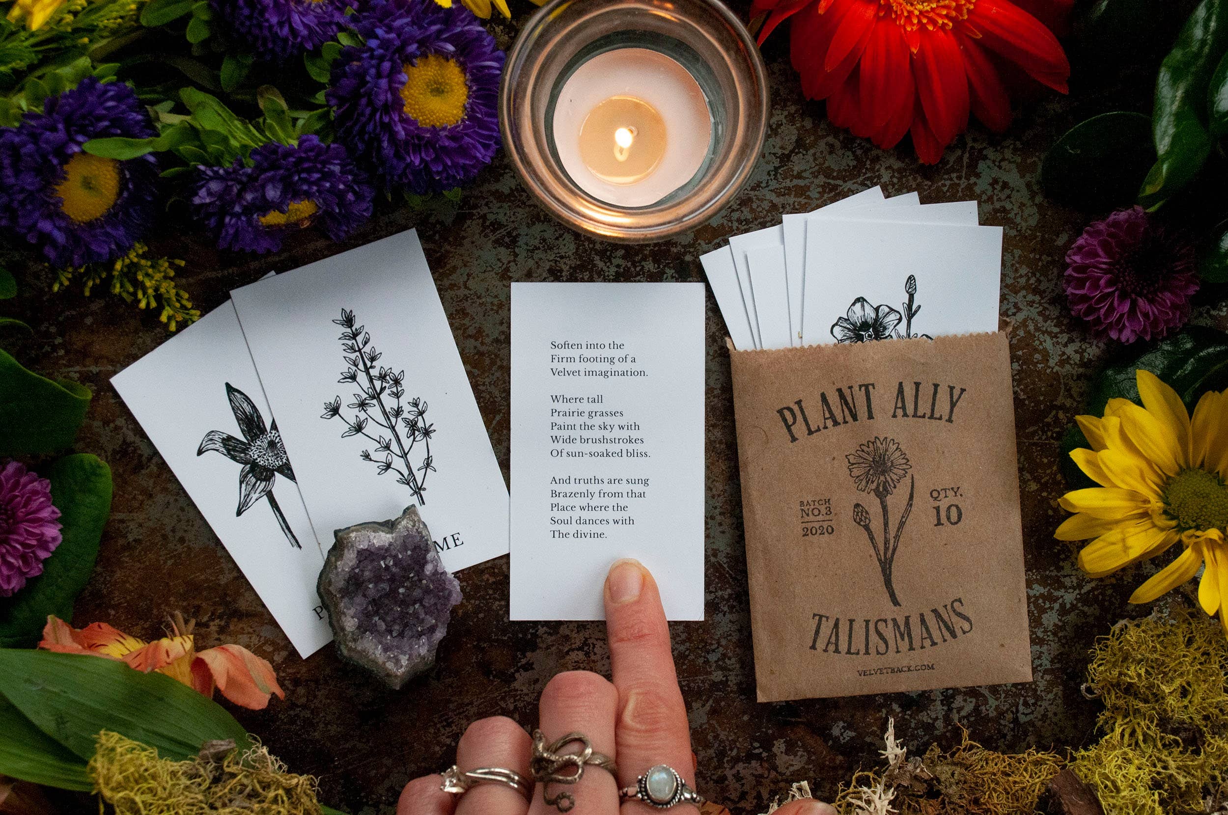 Tierra Magia Vol 3 Plant Ally Talisman Cards Mini Poetry Oracle Deck