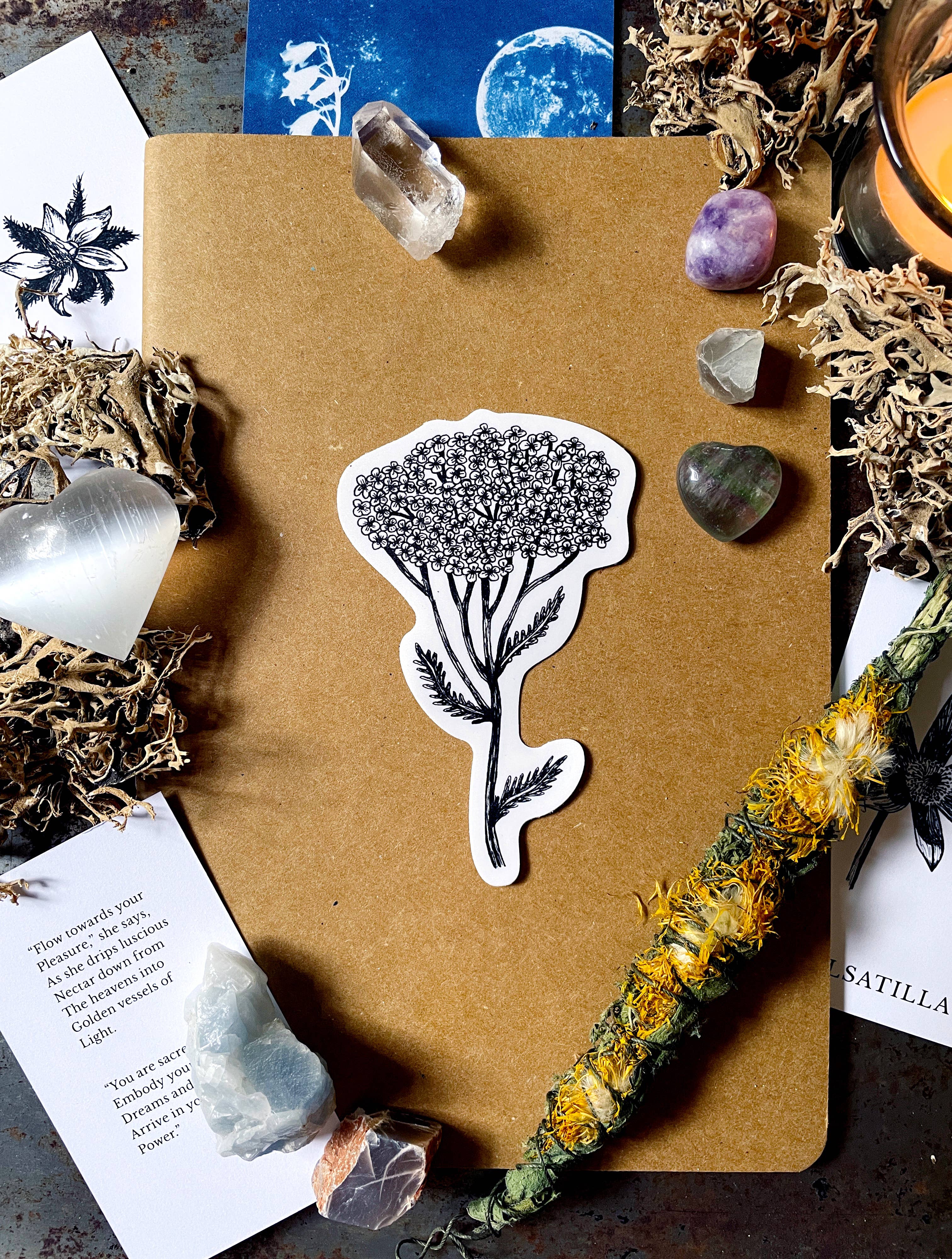 Tierra Magia Yarrow Flower Vinyl Sticker available in Joshua Tree at JT Trading Post