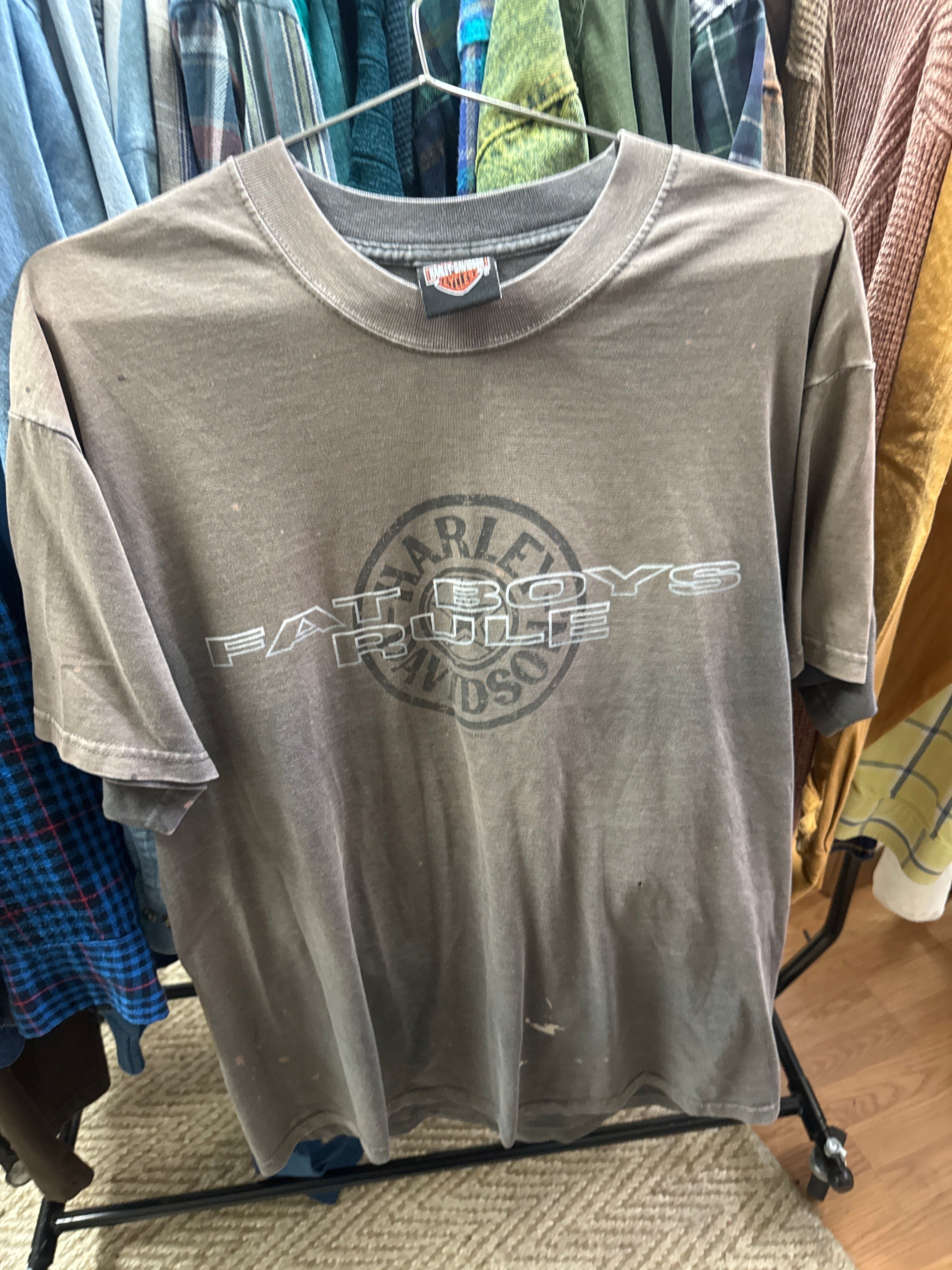 Venus Of The Desert Y2K Harley Fat Boys Thrashed Tee